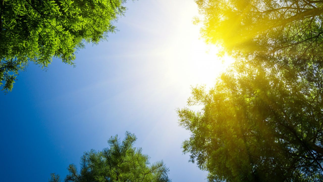 Parashikimi motit, 4 tetor 2025