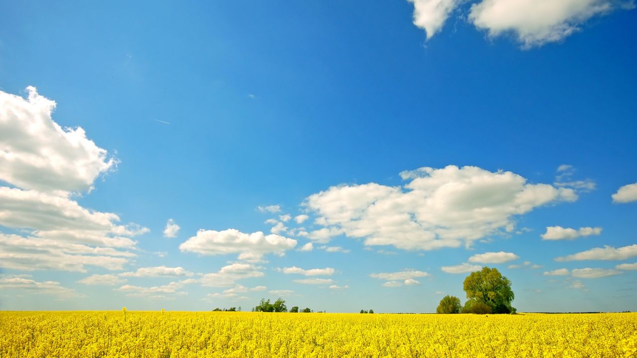 Parashikimi motit, 9 tetor 2025