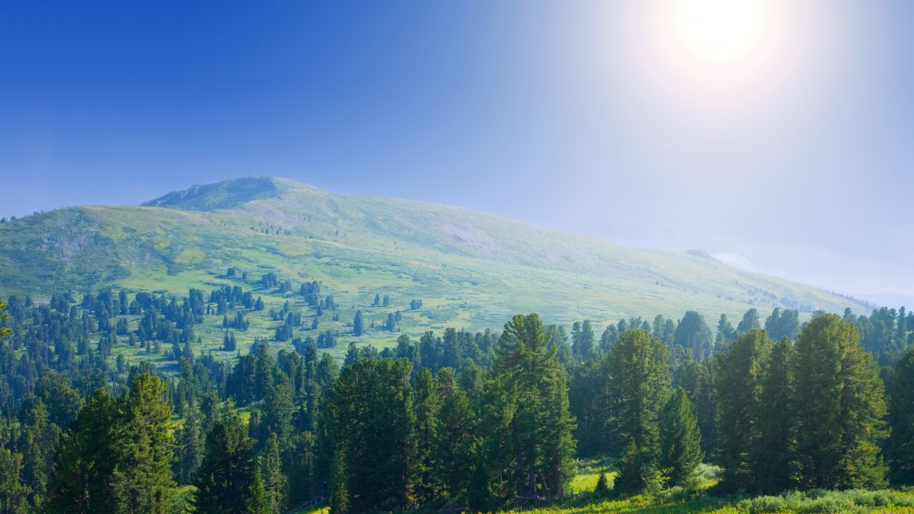 Parashikimi motit, 15 tetor 2025