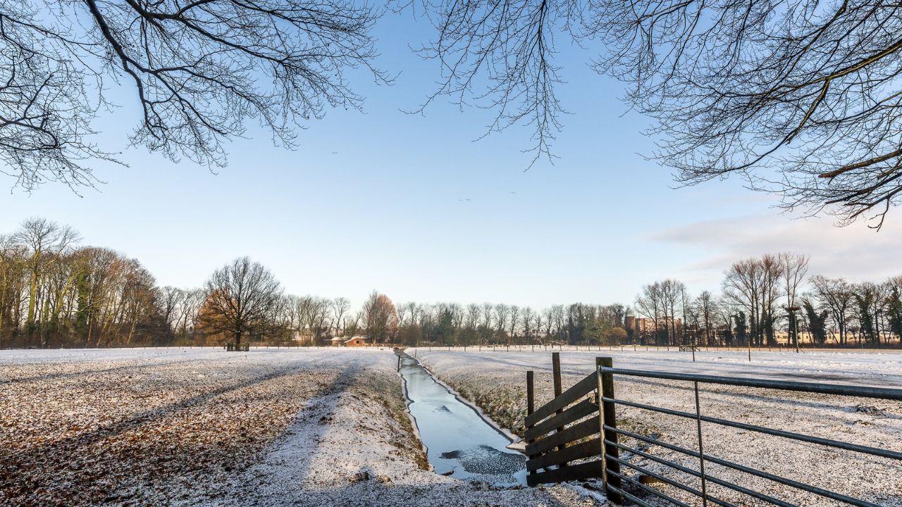 Parashikimi motit, 14 nentor 2025