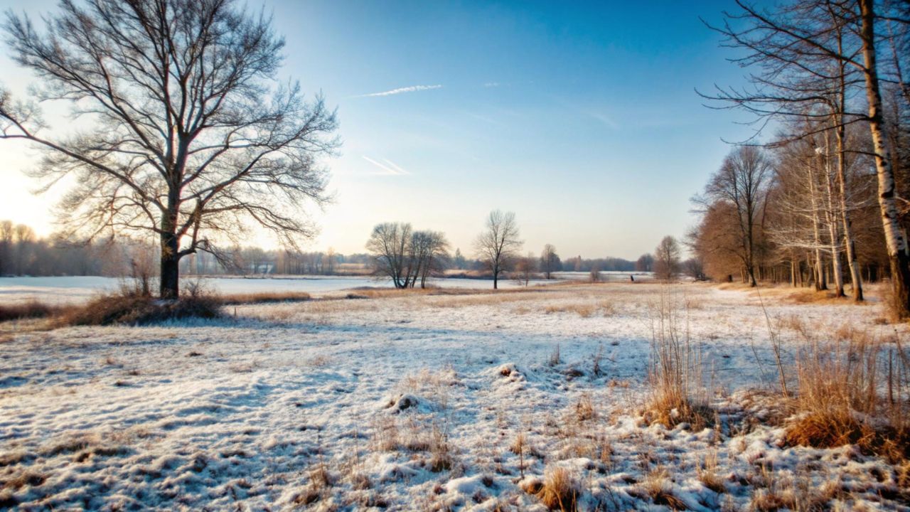 Parashikimi motit, 15 nentor 2025