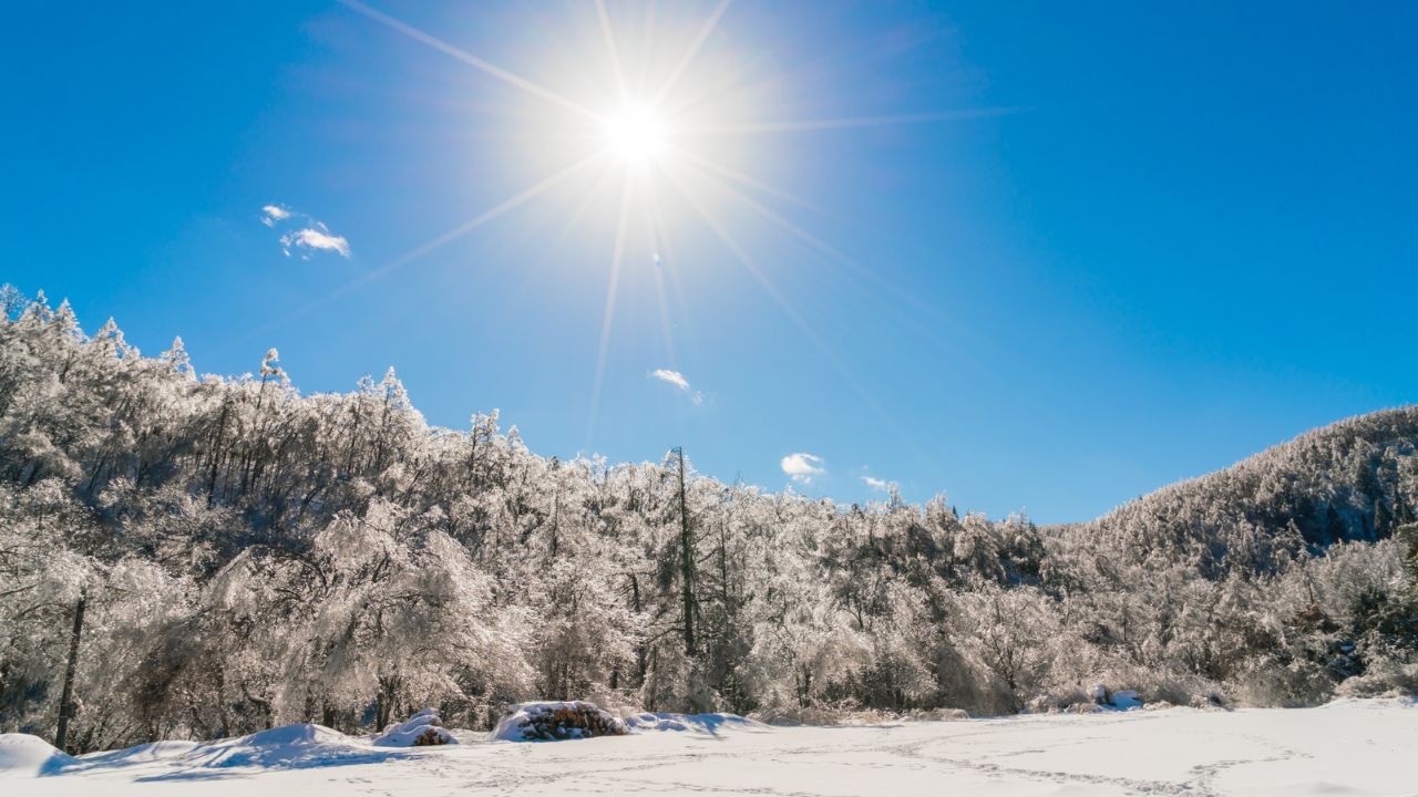 Parashikimi motit, 24 nentor 2025