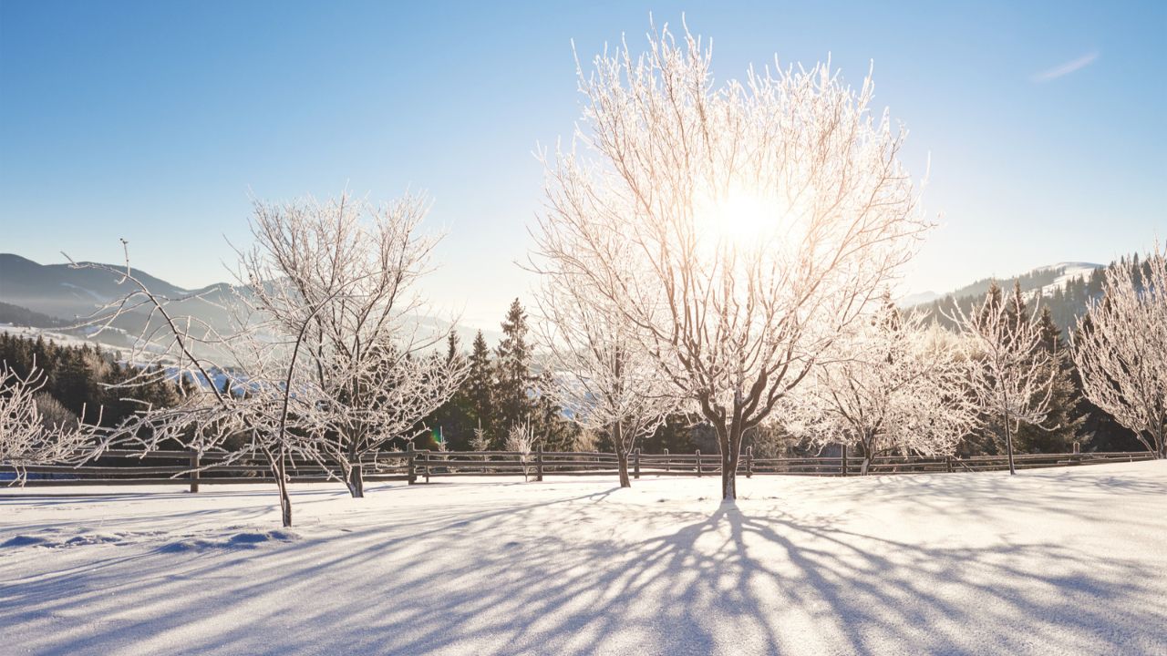 Parashikimi motit, 11 dhjetor 2025