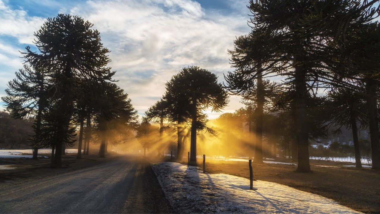 Parashikimi motit, 15 dhjetor 2025