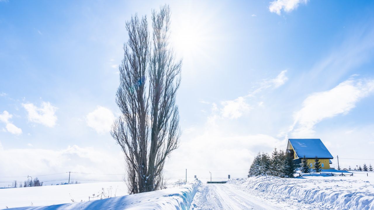 Parashikimi motit, 27 dhjetor 2025