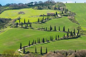 toskana (1)