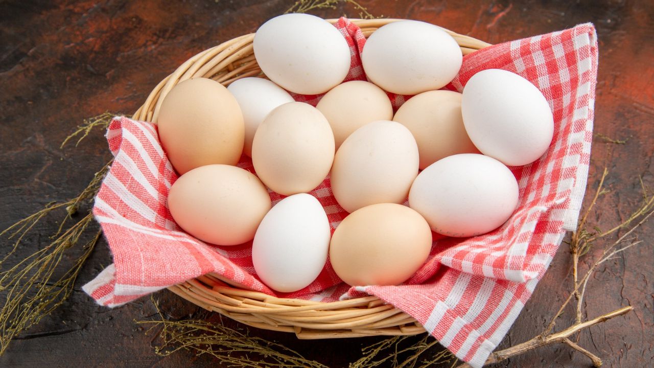 Sa vezë duhet të hani në ditë për të marrë maksimumin e proteinave?