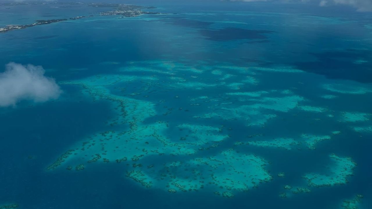 Fantazmat e thellësive – zbuloni legjendat e humbura të deteve të Bermudës