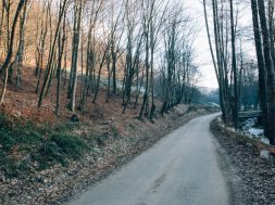 moti - 2026-01-07T090246.457