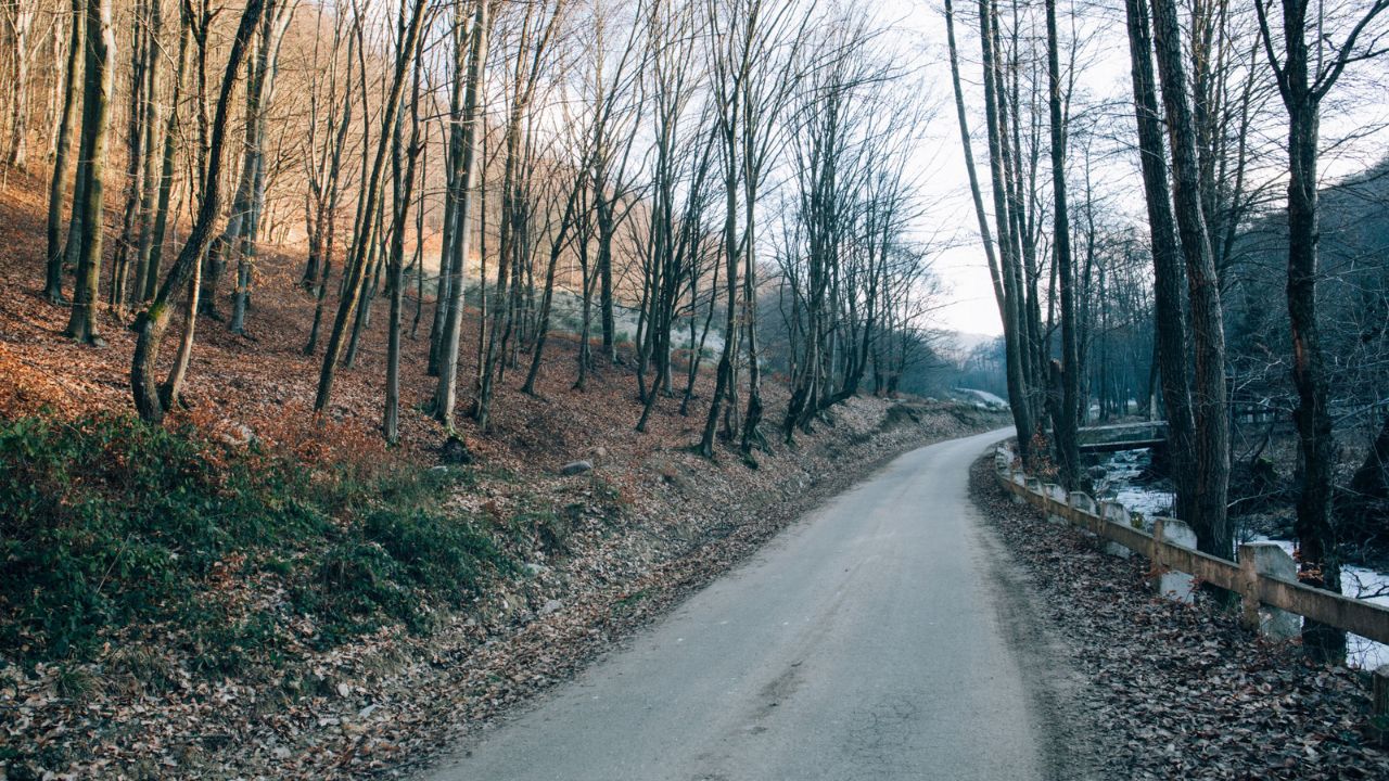 Parashikimi motit, 7 janar 2026