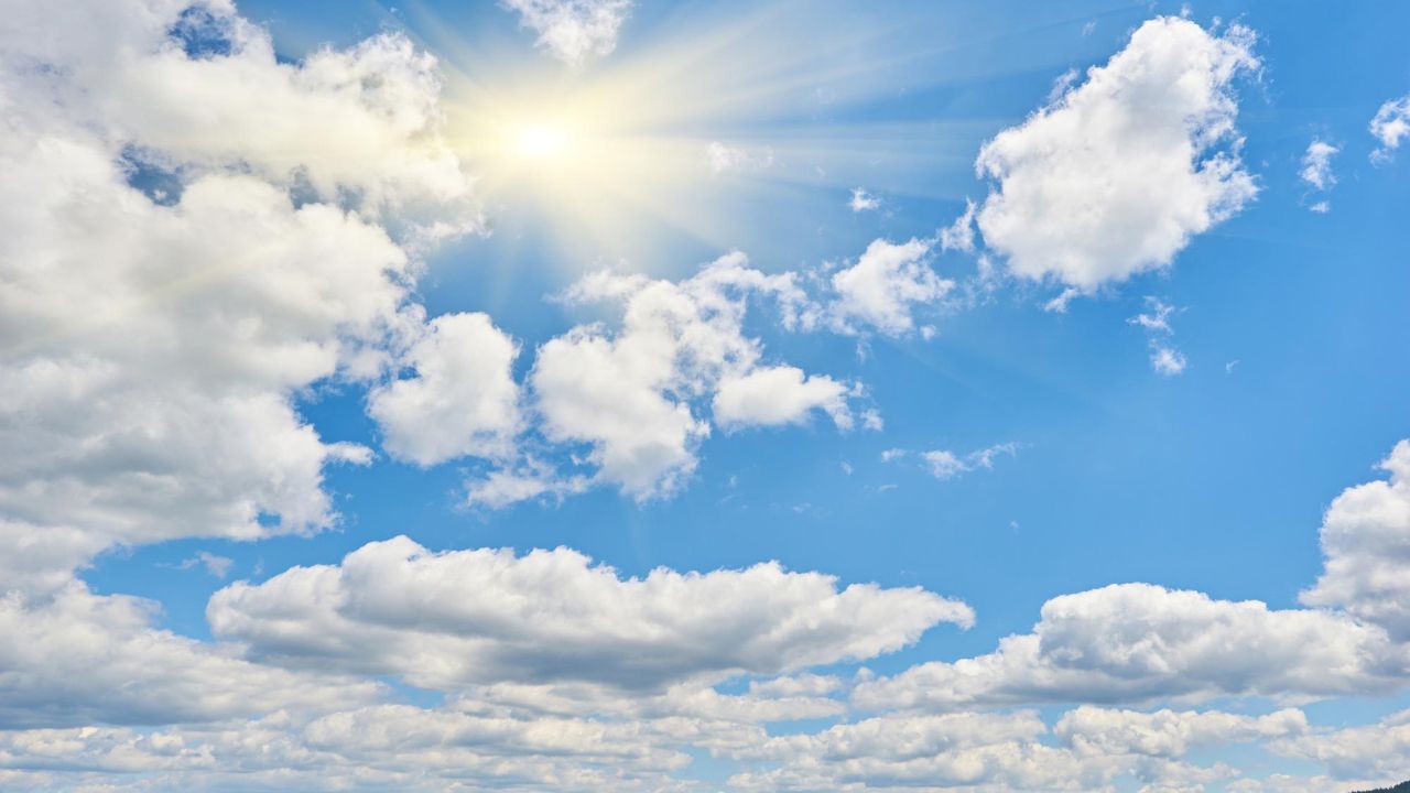 Parashikimi motit, 19 janar 2026