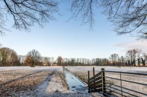 moti - 2026-01-20T091651.909