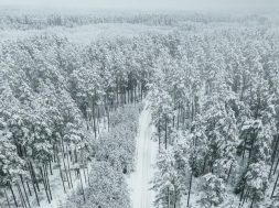 moti - 2026-01-23T090912.261