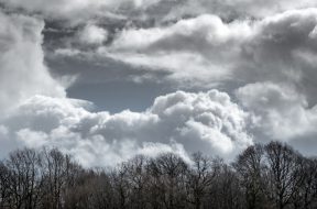 moti - 2026-01-24T091506.595