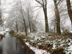 moti - 2026-01-27T090902.230