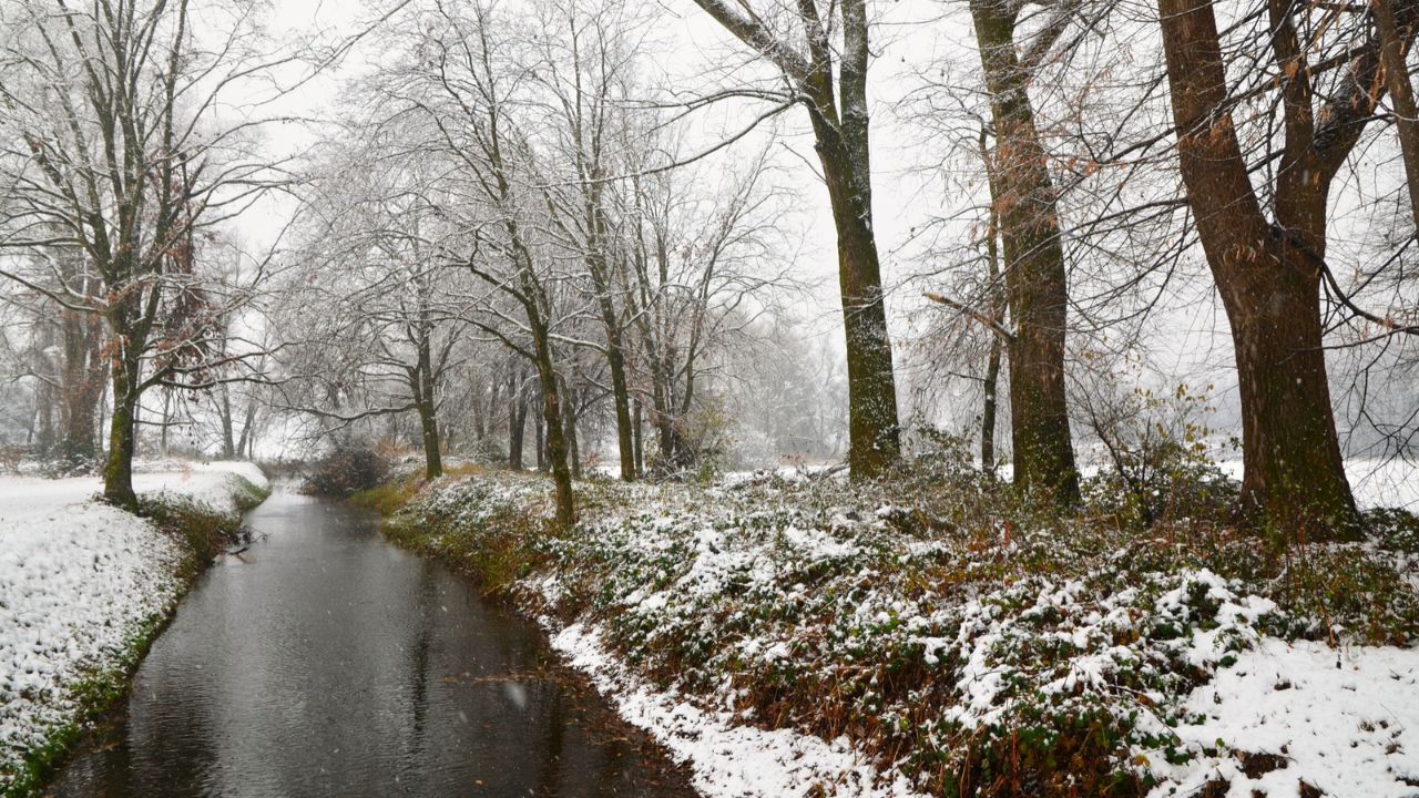 Parashikimi motit, 27 janar 2026