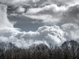 moti - 2026-01-28T091558.844