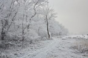 moti - 2026-01-29T093124.526