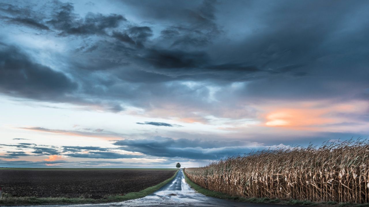 Parashikimi motit, 30 janar 2026