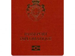 pashaporte (4)