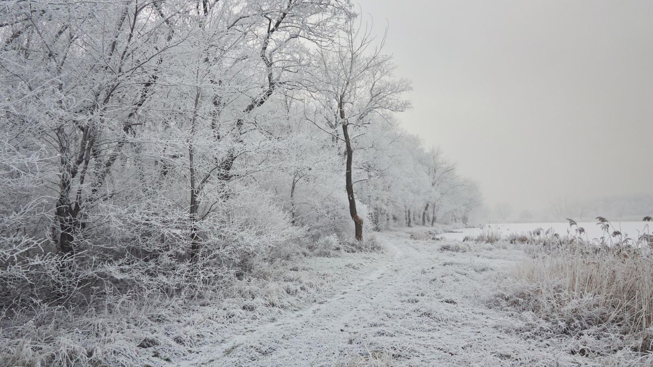 Parashikimi motit, 4 shkurt 2026