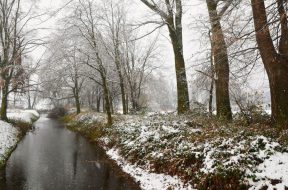 moti - 2026-02-06T114339.165