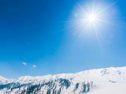 moti - 2026-02-07T100655.797