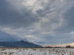 moti - 2026-02-10T094325.641