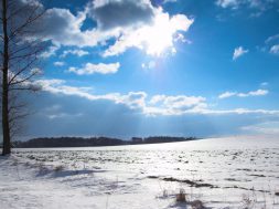 moti - 2026-01-09T093749.800